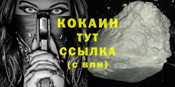 шишки Видное